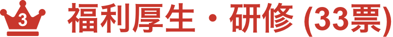 福利厚生・研修 (33票)