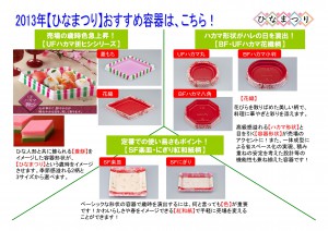 2013年2月　NT企画販促計画書_13