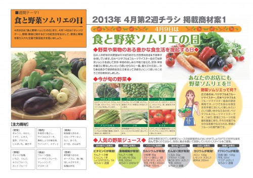2013年4月　NT企画販促計画書_07