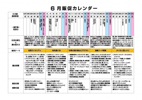 主婦が作った販促企画書13年・6月号0002